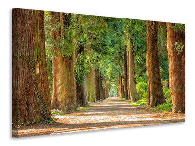 Vászonképek The green avenue