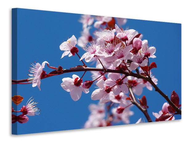 Vászonképek The almond blossom