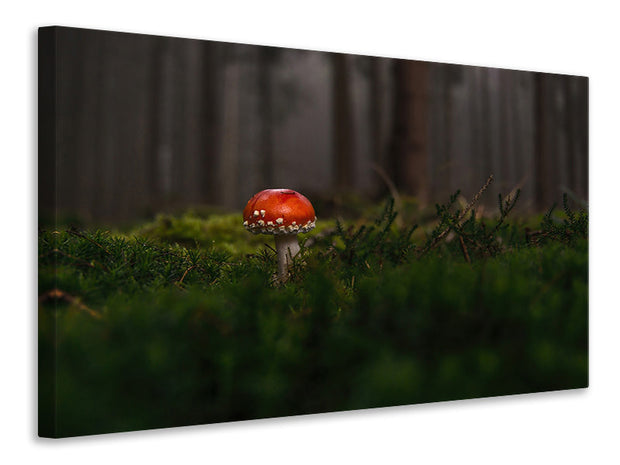 Vászonképek A mushroom in the forest