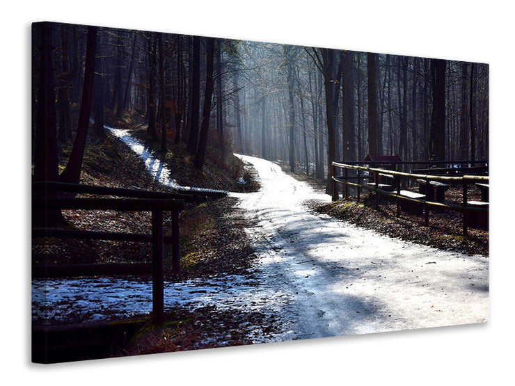 Vászonképek A path in the snow