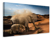 Vászonképek Elephants in the desert