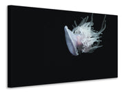 Vászonképek Fascinating jellyfish XL