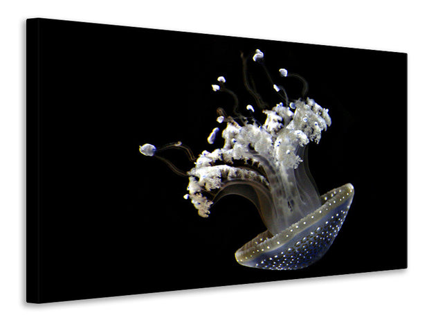 Vászonképek Fascinating jellyfish