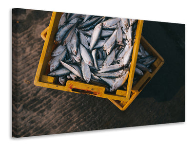 Vászonképek Fish in boxes