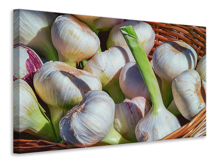 Vászonképek Fresh garlic