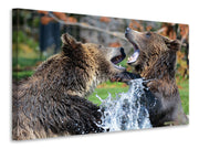 Vászonképek Grizzly fight