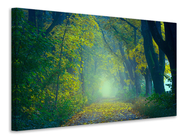 Vászonképek Green Forest