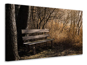 Vászonképek Wooden bench in the forest