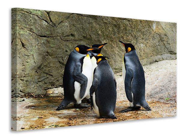 Vászonképek King penguins