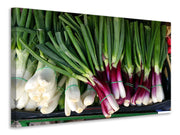 Vászonképek spring onions