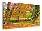 Vászonképek In the middle of autumn trees