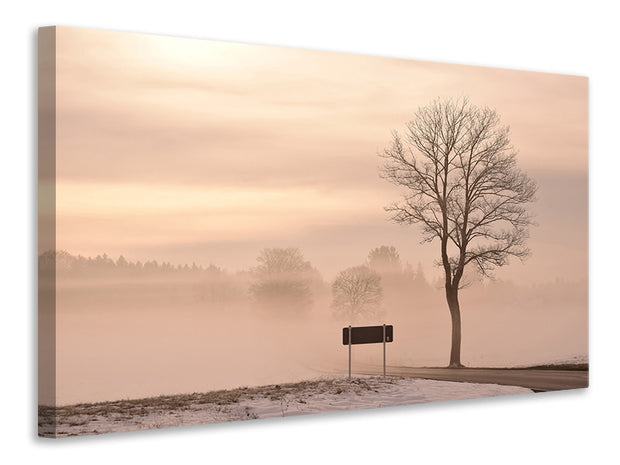 Vászonképek Mystic mood in nature