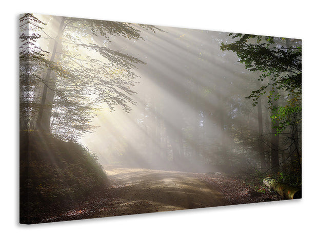 Vászonképek Mystical light in the forest