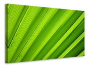 Vászonképek Palm stripes 2