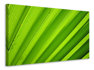 Vászonképek Palm stripes 2