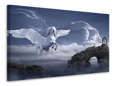 Vászonképek Pegasus