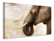 Vászonképek Portrait of an elephant