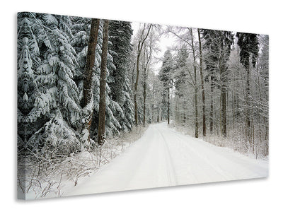 Vászonképek Snow in the forest