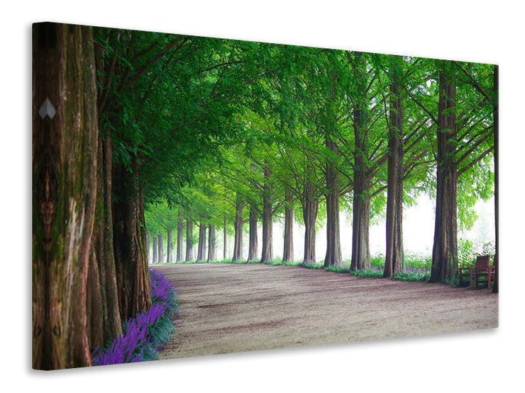 Vászonképek Beautiful tree avenue