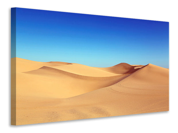 Vászonképek Beauty desert