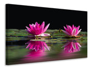 Vászonképek Water Lilies Duo in pink
