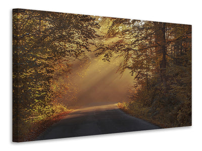 Vászonképek Sunbeams in the forest