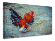 Vászonképek Proud cock