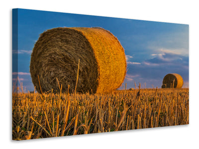 Vászonképek straw bales