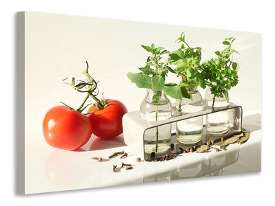 Vászonképek Tomatoes and herbs