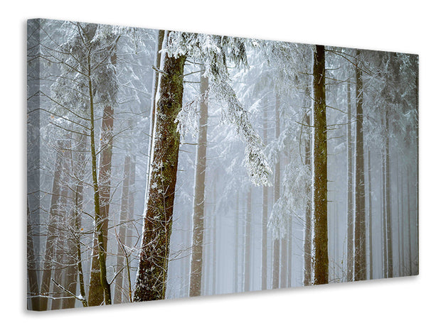 Vászonképek Forest in winter