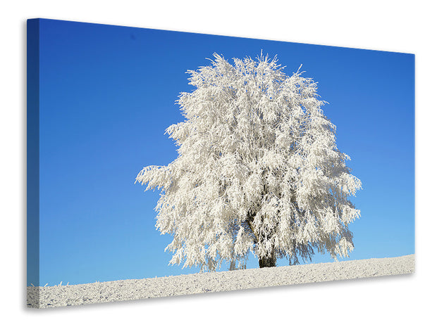 Vászonképek Winter tree