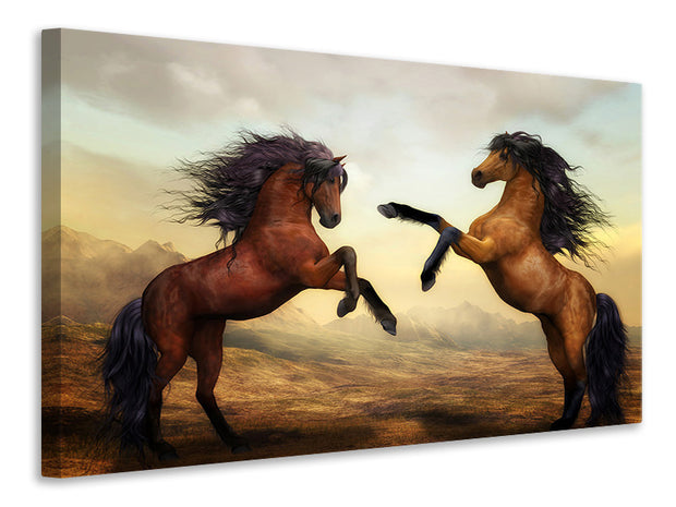 Vászonképek Two wild horses