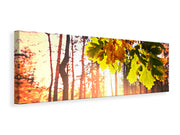 Panorámás Vászonképek Autumn