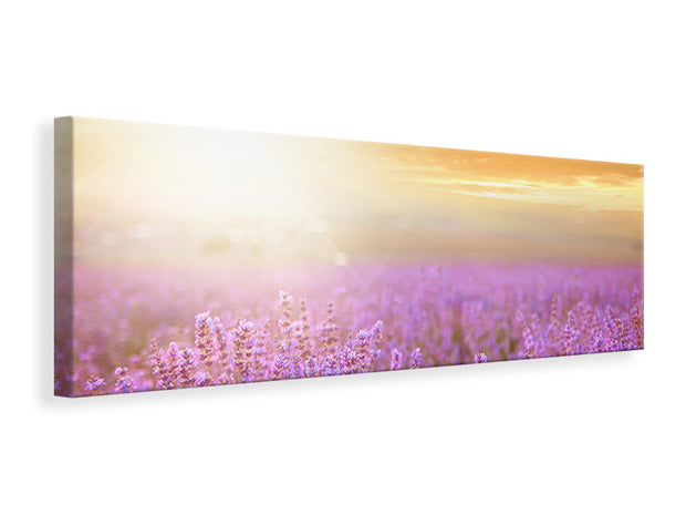 Panorámás Vászonképek Sunset In Lavender Field
