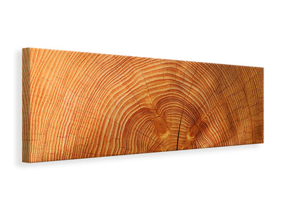 Panorámás Vászonképek tree rings