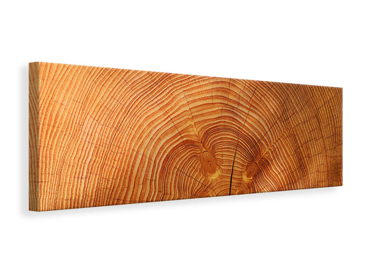 Panorámás Vászonképek tree rings