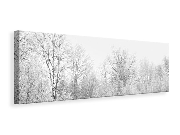 Panorámás Vászonképek Birches in the snow