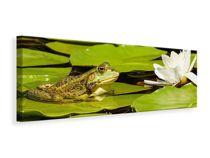 Panorámás Vászonképek The frog and the water lily