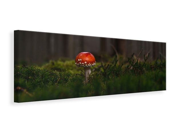 Panorámás Vászonképek A mushroom in the forest