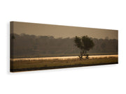 Panorámás Vászonképek Elephant alone in the steppe