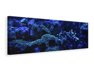 Panorámás Vászonképek Coral reef in blue