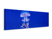 Panorámás Vászonképek Glowing jellyfish