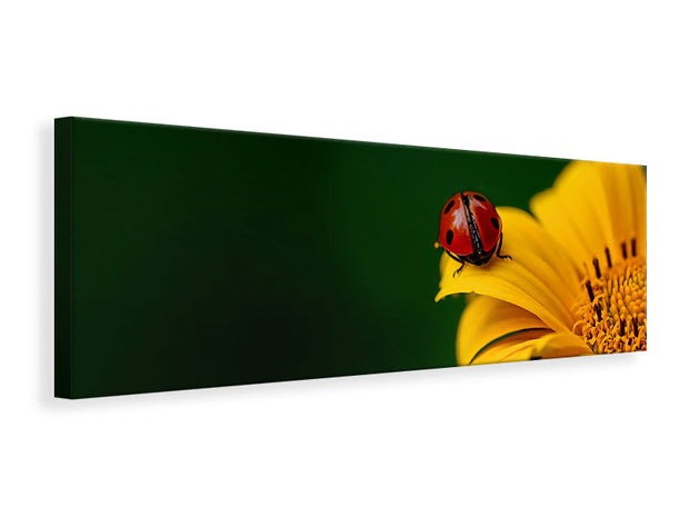 Panorámás Vászonképek Ladybug on the sunflower