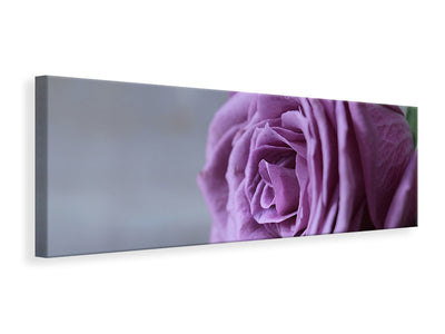 Panorámás Vászonképek Rose in purple XXL
