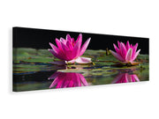 Panorámás Vászonképek Water Lilies Duo in pink