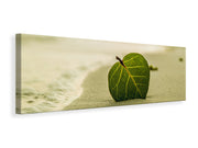 Panorámás Vászonképek Beach leaf