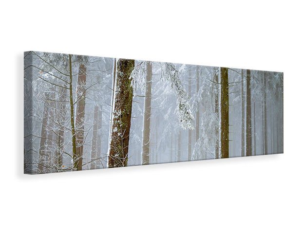 Panorámás Vászonképek Forest in winter