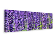 Panorámás Vászonképek XL lavender