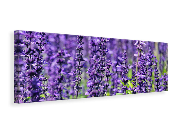 Panorámás Vászonképek XL lavender